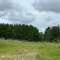 695 Acres T-4 CR 2204 01286 01287 images 4