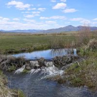 Willow Creek Ironside Ranch images 4