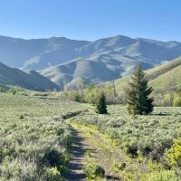 Iron Mine Ranch images 3