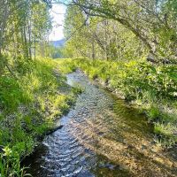 Iron Mine Ranch images 4