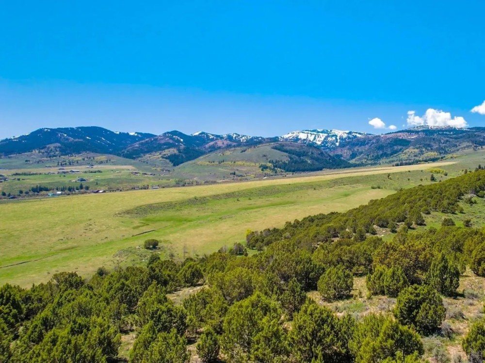 Mill Canyon Ranch featured image
