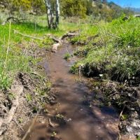 Mill Canyon Ranch images 2