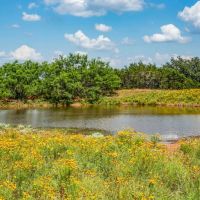 South Arrow Ranch images 4