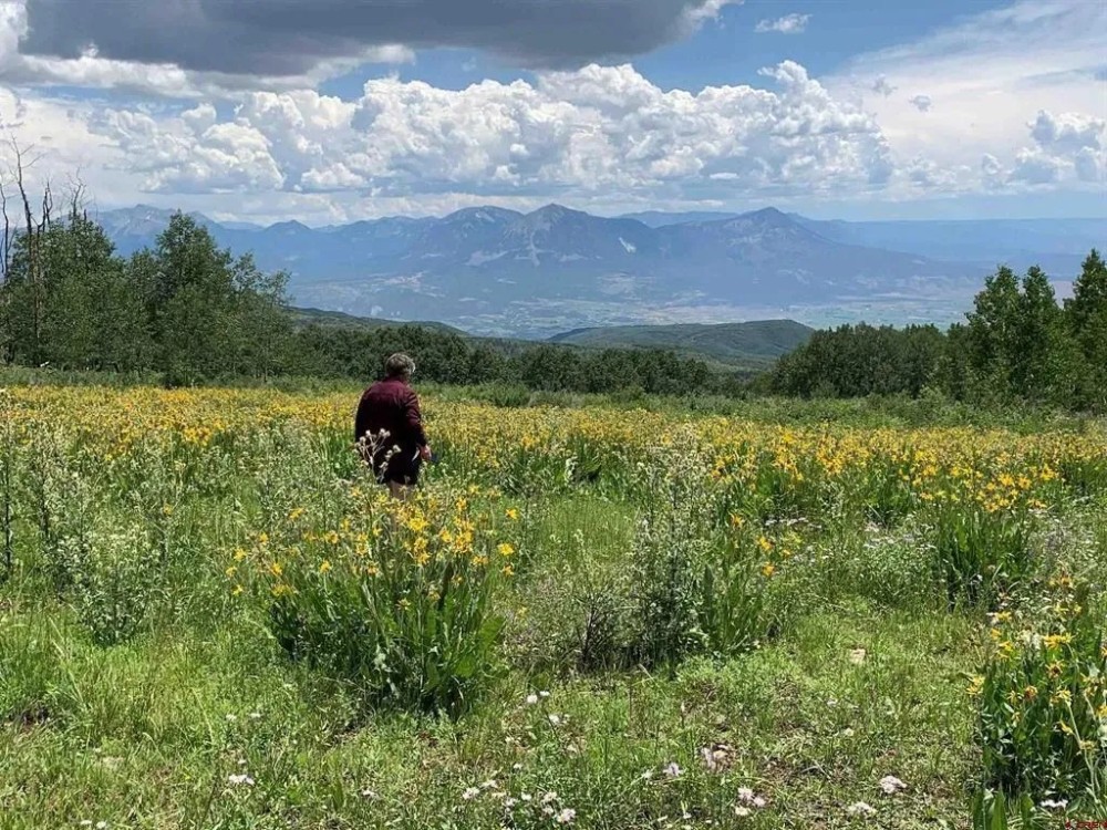 Grand Mesa Mountain Land featured image