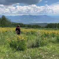 Grand Mesa Mountain Land