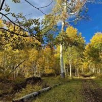Grand Mesa Mountain Land images 2