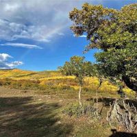 Grand Mesa Mountain Land images 5