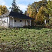 125 Acres - Sheridan - Replacement Dwelling Buildable per Polk County images 3