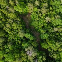 80 Acres with a Home Cabin in Yalobusha County MS images 3