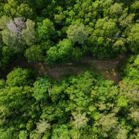 80 Acres with a Home Cabin in Yalobusha County MS images 4