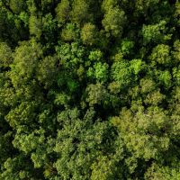 80 Acres with a Home Cabin in Yalobusha County MS images 5