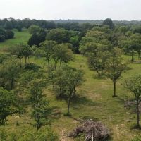 48 Acres Mixed Use along FM 535 images 2