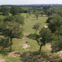48 Acres Mixed Use along FM 535 images 4