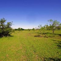 Ag Exempt Hunting Recreational Land in Holland TX images 2