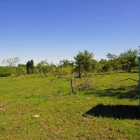 Ag Exempt Hunting Recreational Land in Holland TX images 3
