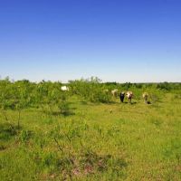 Ag Exempt Hunting Recreational Land in Holland TX images 4