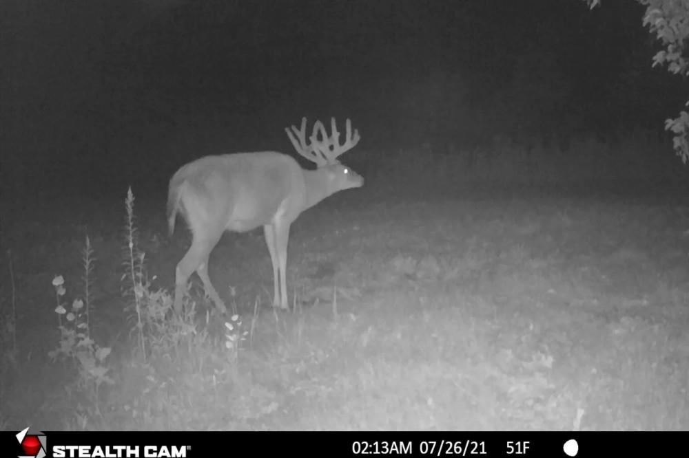 Nearly 1 000-acre Landholding for Sale in Wisconsin featured image