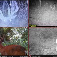 Nearly 1 000-acre Landholding for Sale in Wisconsin images 2