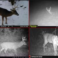Nearly 1 000-acre Landholding for Sale in Wisconsin images 3