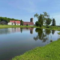 60 acres House Two Barns Heated Shop Ponds Orchard and FREE GAS in Dewittville NY 7057 Beech Hill Rd
