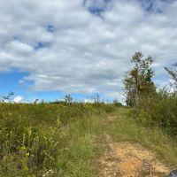 76 - AC Teeming with Wildlife images 3