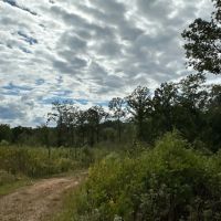 76 - AC Teeming with Wildlife images 5