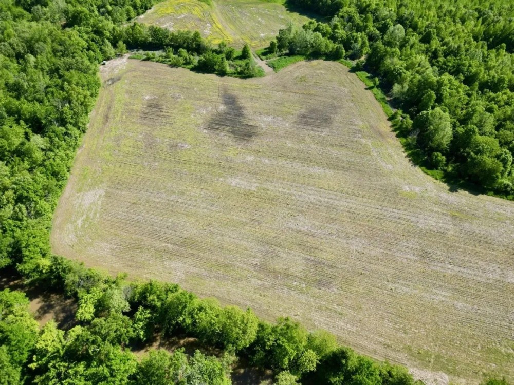 70 acres in Saline Co. featured image