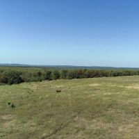 2200 Acre CJ Ranch Recreation Hunting and Cattle Ranch For Sale Dustin OK McIntosh County images 2