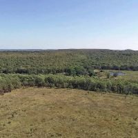 2200 Acre CJ Ranch Recreation Hunting and Cattle Ranch For Sale Dustin OK McIntosh County images 4