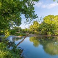Seguin Guadalupe River Tract 42.95 Acres images 2