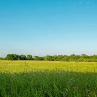 Seguin Guadalupe River Tract 42.95 Acres images 3
