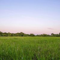 Seguin Guadalupe River Tract 42.95 Acres images 5