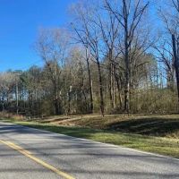 4 Tracts- Bogue Chitto School District