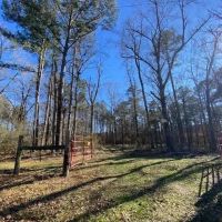 4 Tracts- Bogue Chitto School District images 4