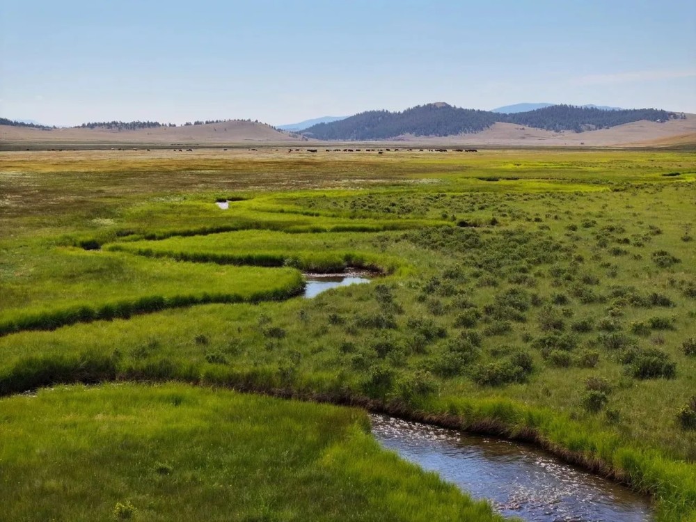 Arrowhead Ranch featured image