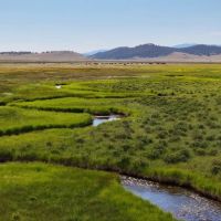 Arrowhead Ranch