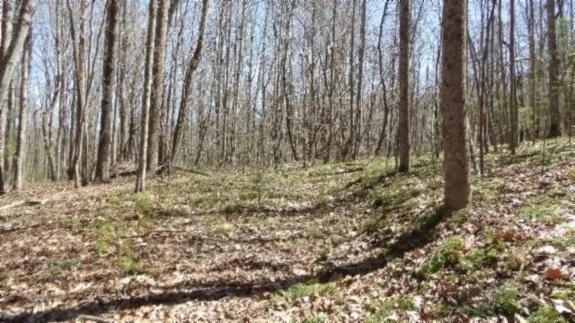26.16 AC PRIVATE SECLUDED MTN VIEWS CREEK SEVERAL BUILDING SITES featured image