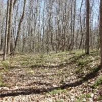 26.16 AC PRIVATE SECLUDED MTN VIEWS CREEK SEVERAL BUILDING SITES