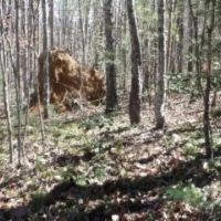 26.16 AC PRIVATE SECLUDED MTN VIEWS CREEK SEVERAL BUILDING SITES images 3