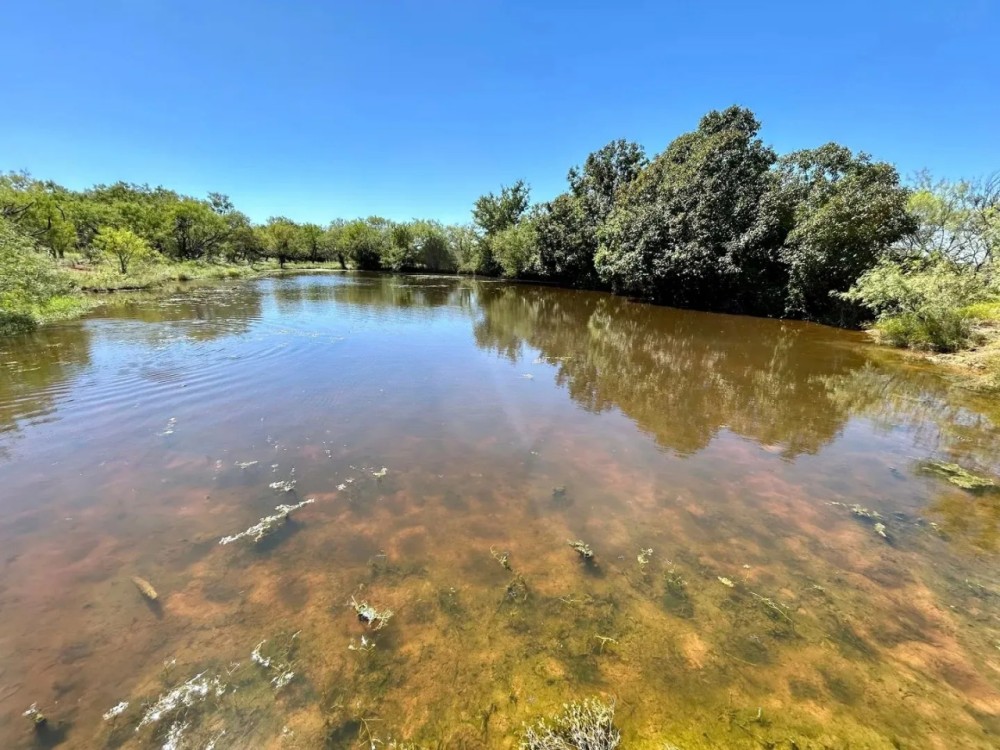 Available 157.5 - Acres Comanche County featured image