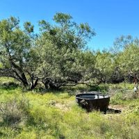 Available 157.5 - Acres Comanche County images 3
