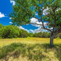 Lamkin Ranch images 4
