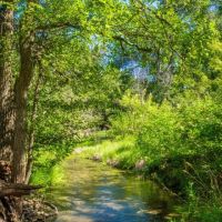 Lamkin Ranch images 5