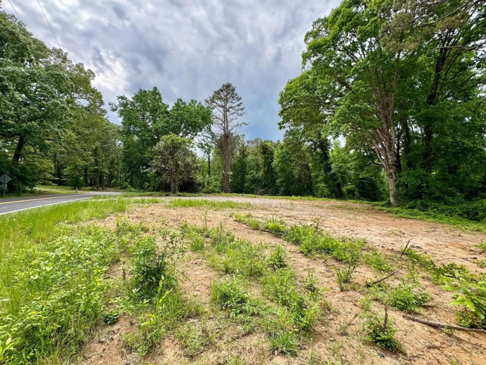 25.91 Acres in Hardeman County TN featured image