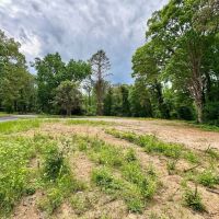 25.91 Acres in Hardeman County TN