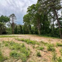 25.91 Acres in Hardeman County TN images 3