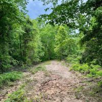 25.91 Acres in Hardeman County TN images 5