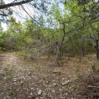 13921 Nutty Brown Rd Austin Texas 78737 images 5