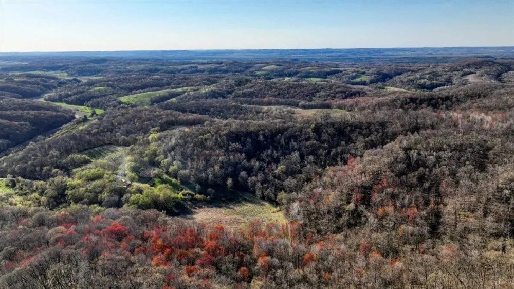 New Property66 - Acre Buildable Recreational Retreat Mindoro WI La Crosse County featured image