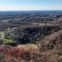 New Property66 - Acre Buildable Recreational Retreat Mindoro WI La Crosse County